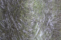 Fairwood fibreglass roof work